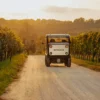 tazzari-zeromax-vignes-chemin